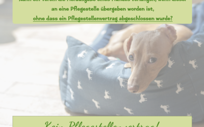 Kein Pflegestellenvertrag