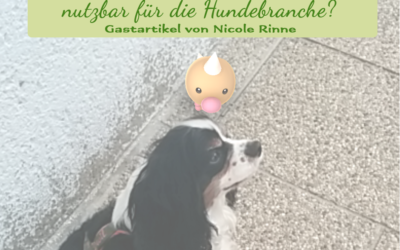 Pokemon Go – nutzbar für die Hundebranche?
