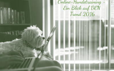 Online-Hundetraining – Vorteile, Nachteile und Voraussetzungen