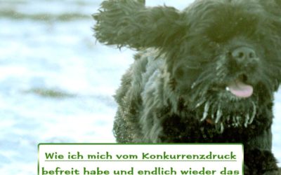 Umgang mit Konkurrenz und Konkurrenzdruck