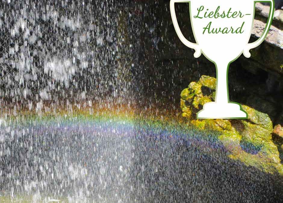 Liebster-Award