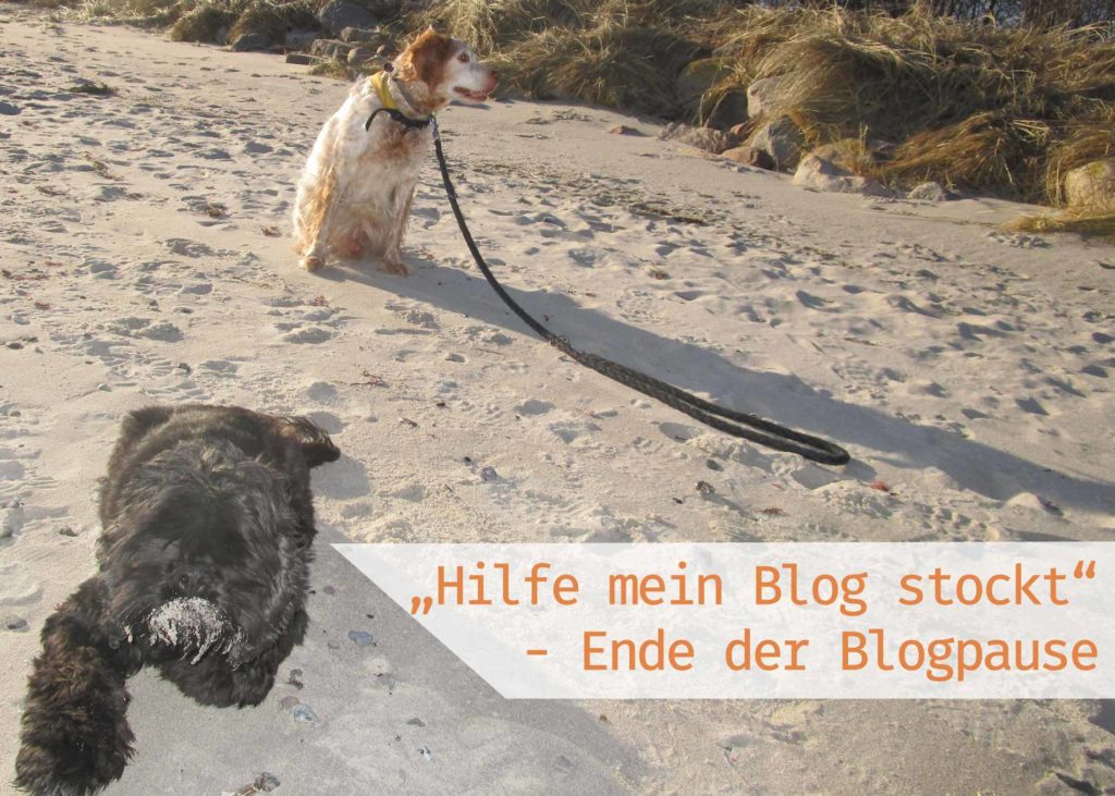 Artikelbild Hilfe mein Blog stockt
