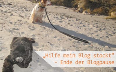 „Hilfe, mein Blog stockt!“ – Ende der Blogpause