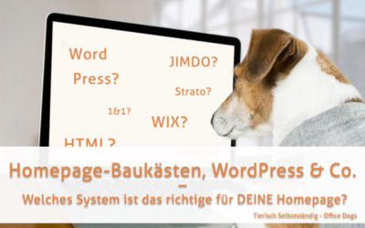 Homepage-Baukästen, WordPress & Co. – Welches System ist das richtige für deine Homepage?