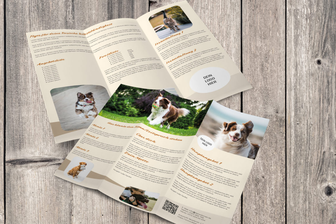 Flyerdesign (freie Arbeit)