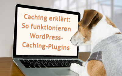 Caching erklärt: So funktionieren WordPress-Caching-Plugins