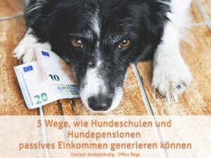 Beitragsbild passives Einkommen für Hundeschulen und Hundepensionen