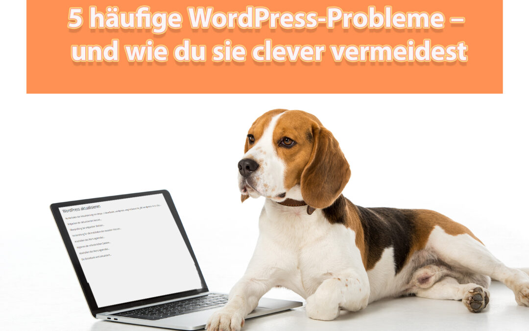 🐾 5 häufige WordPress-Probleme – und wie du sie clever vermeidest