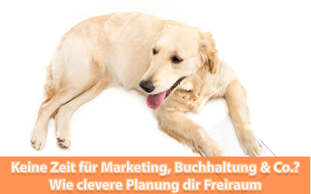⏳ Keine Zeit für Marketing, Buchhaltung & Co.? Wie clevere Planung dir Freiraum für dein Tierbusiness schafft