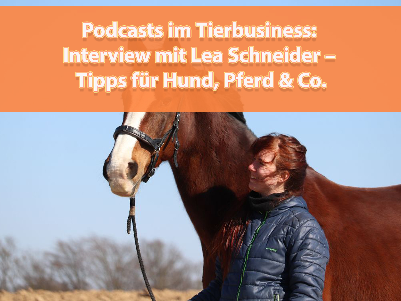 Podcasts als Marketinginstrument im Tierbusiness nutzen - Artikelbild