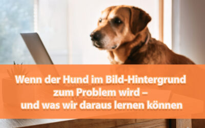 Wenn der Hund im Bild-Hintergrund zum Problem wird – und was wir daraus lernen können