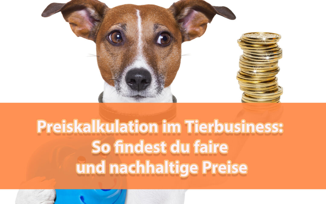 Preiskalkulation im Tierbusiness: So findest du faire und nachhaltige Preise