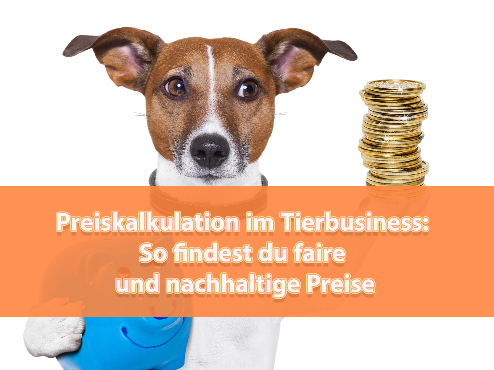 Preiskalkulation im Tierbusiness - Symbolbild