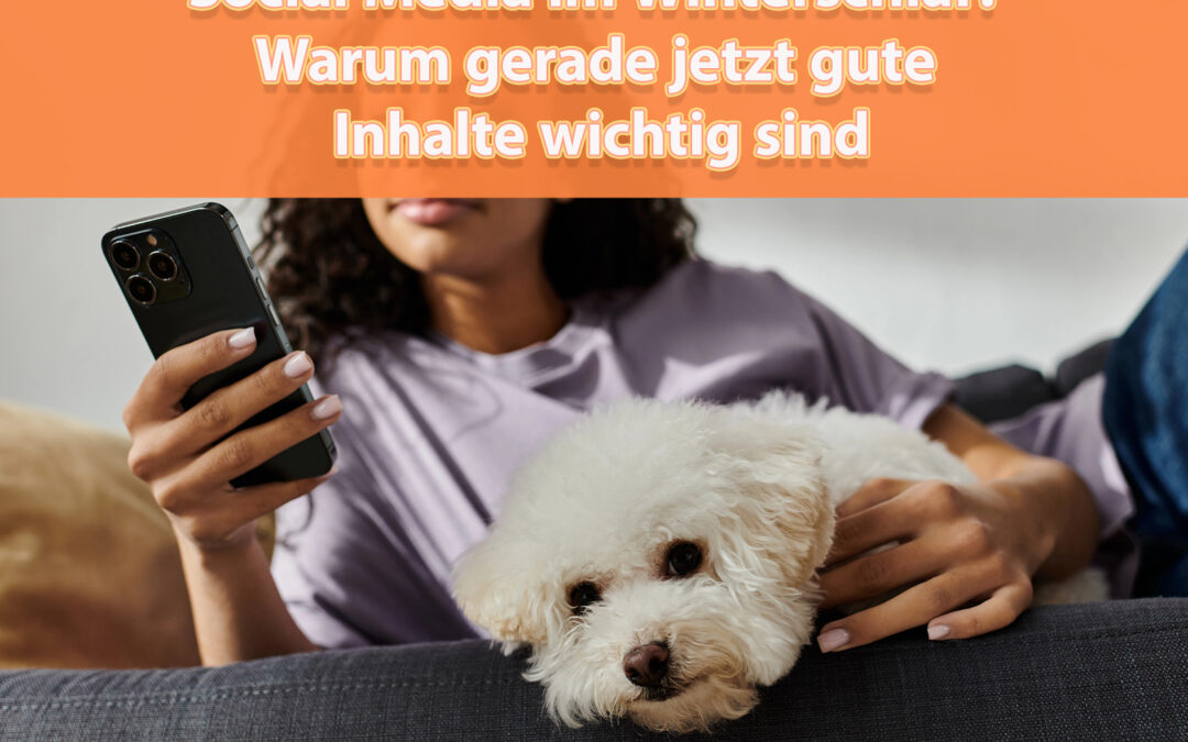 💤 Social Media im Winterschlaf? Warum gerade jetzt gute Inhalte wichtig sind